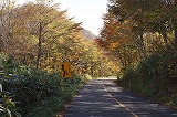 車道の景色