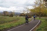 蒜山の紅葉4