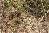 和気富士登山道4合目