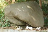 逢坂八幡神社狛犬