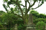 西郷隆盛終焉の地