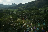 高千穂あまてらす鉄道２