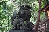 高千穂神社狛犬１