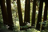 天岩戸神社１