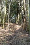 丸山古墳登山道