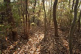 小丸山古墳頂上