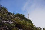 コージツ