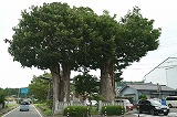 松本市美術館２