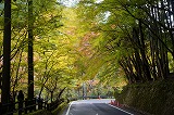 奥津峡紅葉1