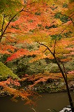 奥津峡紅葉2