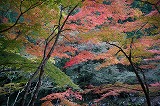 奥津峡紅葉3
